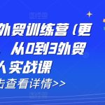 AI闪电做外贸训练营(更新25年3月)，从0到3外贸万人实战课-赚网-2025最新网赚项目网，副业网！