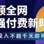 王校长·万金油强付费玩法(更新3.16杭州线下)-赚网-2025最新网赚项目网，副业网！