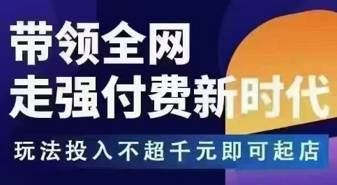 王校长·万金油强付费玩法(更新3.16杭州线下)-赚网-2025最新网赚项目网，副业网！