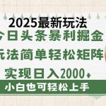今日头条2025最新玩法，思路简单，复制粘贴，轻松实现矩阵日入2000+-赚网-2025最新网赚项目网，副业网！