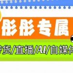彤彤电商·普通人如何用ai做自媒体-赚网-2025最新网赚项目网，副业网！