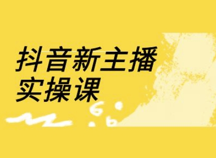 抖音新主播实操课，直播间流量运营线上实操课(18节)-赚网-2025最新网赚项目网，副业网！