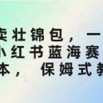 私域卖壮锦包,一小时3张,小红书蓝海赛道3.0版本, 保姆式教学-赚网-2025最新网赚项目网,副业网!