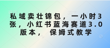 私域卖壮锦包，一小时3张，小红书蓝海赛道3.0版本， 保姆式教学-赚网-2025最新网赚项目网，副业网！