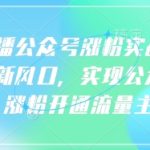 语音直播公众号涨粉实战指南,你抓住新风口,实现公众号快速涨粉开通流量主-赚网-2025最新网赚项目网,副业网!