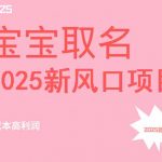 2025新风口项目宝宝取名,0成本高利润,附保姆级教程,月入过万不是梦-赚网-2025最新网赚项目网,副业网!