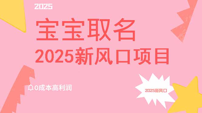 2025新风口项目宝宝取名，0成本高利润，附保姆级教程，月入过万不是梦-赚网-2025最新网赚项目网，副业网！