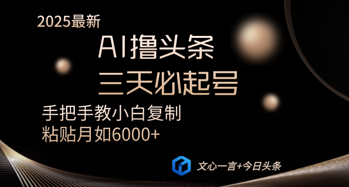 AI撸头条三天必起号手把手教小白复制粘贴月入6000+教程-赚网-2025最新网赚项目网，副业网！