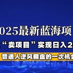 2025年蓝海项目，如何通过“网创项目”日入2000+-赚网-2025最新网赚项目网，副业网！