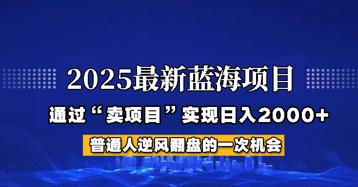 2025年蓝海项目，如何通过“网创项目”日入2000+-赚网-2025最新网赚项目网，副业网！