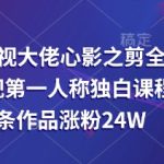 抖音影视大佬心影之剪全套教学，影视第一人称独白课程，26条作品涨粉24W-赚网-2025最新网赚项目网，副业网！