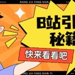 B站最新截流玩法靠此方法可日引流200+-赚网-2025最新网赚项目网，副业网！