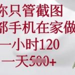 你只管截图，一部手机在家做，一小时120.一天5张【揭秘】-赚网-2025最新网赚项目网，副业网！