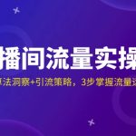 直播间流量实操课:机制拆解+算法洞察+引流策略,3步掌握流量运营核心逻辑-赚网-2025最新网赚项目网,副业网!