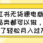小红书无货源电商,全品类都可以做,学会了轻松月入过万-赚网-2025最新网赚项目网,副业网!