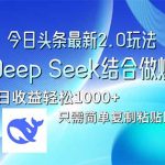 今日头条最新2.0版本,用Deep Seek结合今日头条做爆文,单日收益轻松10…-赚网-2025最新网赚项目网,副业网!