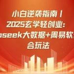 小白逆袭指南，2025玄学轻创业：Deepseek大数据+周易算法的融合玩法-赚网-2025最新网赚项目网，副业网！