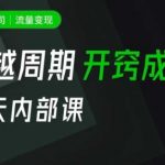 一人公司:流量变现课,一人公司的方法模型拆解, 拆解富人思维,流量思维,小老板思维等-赚网-2025最新网赚项目网,副业网!
