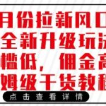 3月份拉新风口项目全新升级玩法,门槛低,佣金高,保姆级干货教程-赚网-2025最新网赚项目网,副业网!
