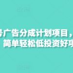 最新视频号广告分成计划项目，可矩阵放大，简单轻松低投资好项目-赚网-2025最新网赚项目网，副业网！