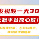 转发视频一天300+，正规平台放心做，不看播放量，无粉丝要求，随时随地…-赚网-2025最新网赚项目网，副业网！